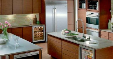Какой фирмы выбрать холодильник? Hitachi - японское качество